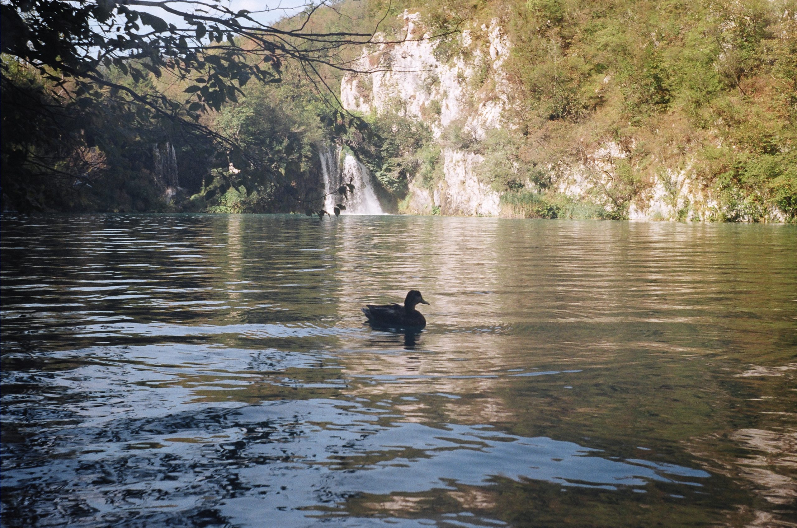 Plitvice Lakes National Park - Croatia - Europe on film - We Roam Europe (13)